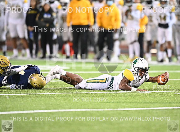 DLS_8481