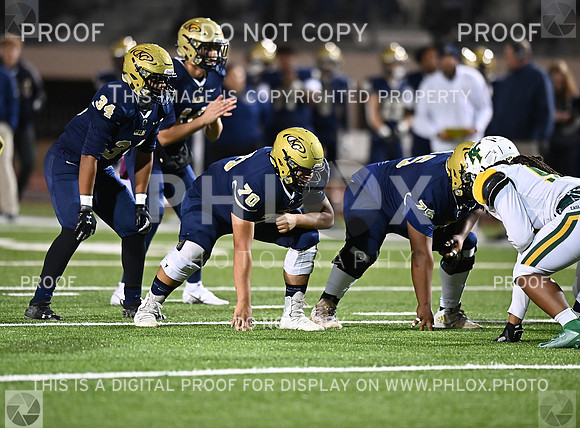 DLS_8516