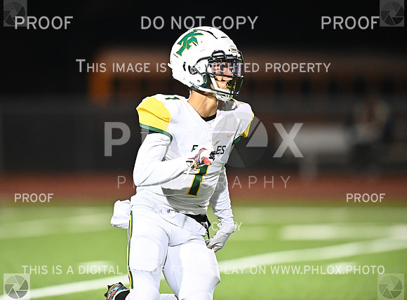 DLS_8437