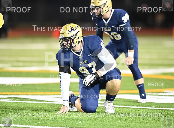 DLS_8441