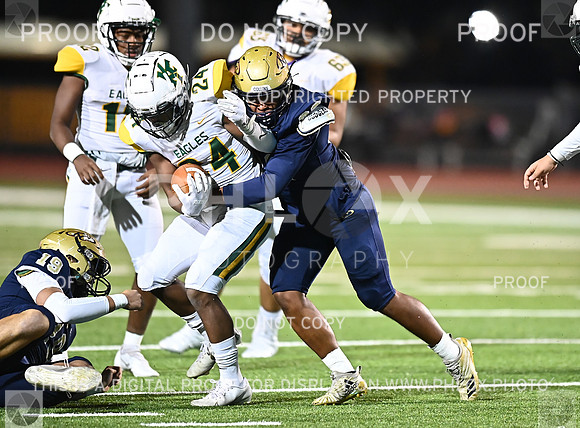 DLS_8487