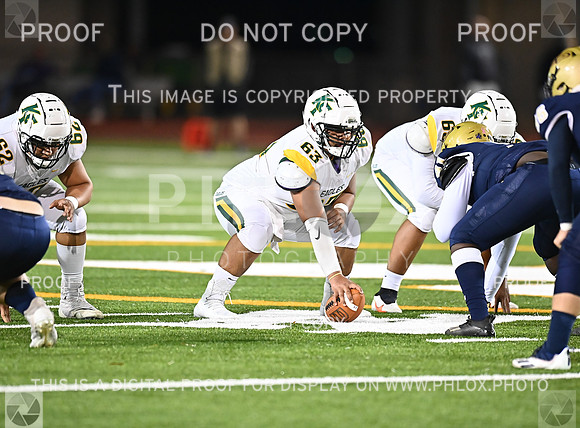 DLS_8618