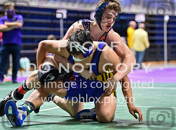DLS_3536