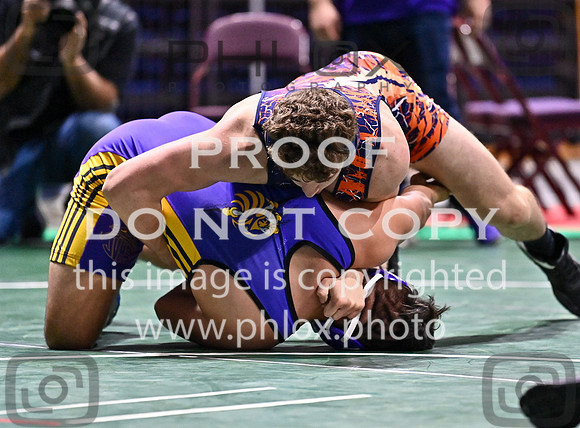 DLS_3595