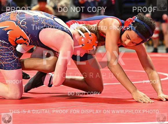 DLS_4399
