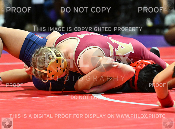 DLS_4322