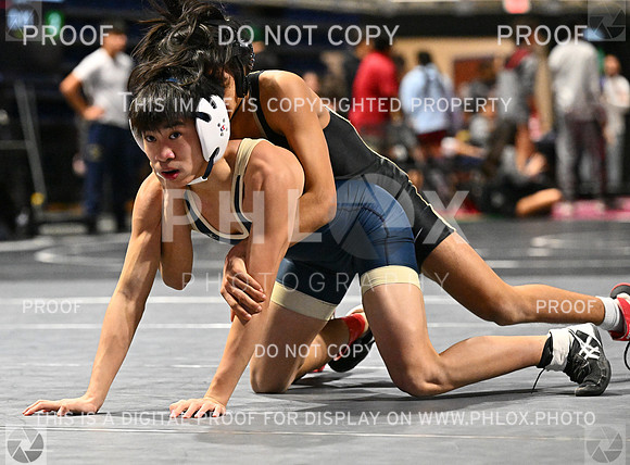 DLS_4352