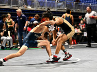DLS_4330