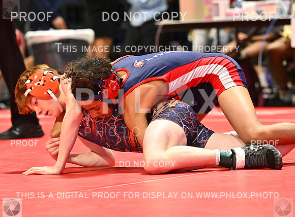DLS_4424