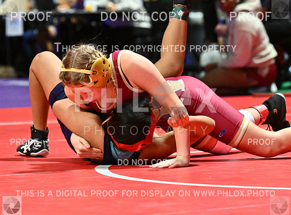 DLS_4320