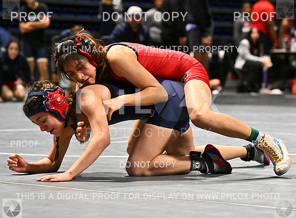 DLS_4310