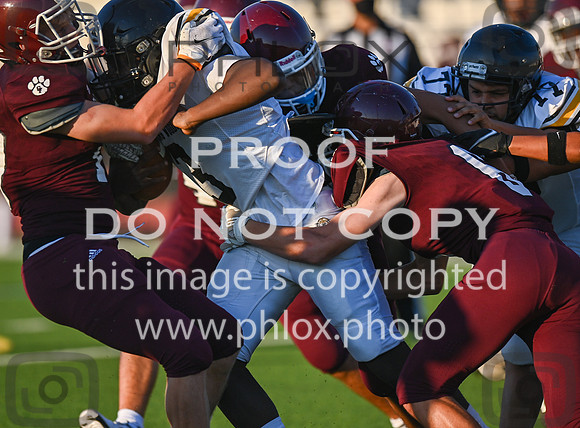 DLS_3350