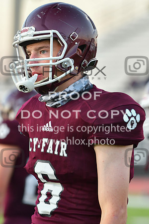 DLS_7487