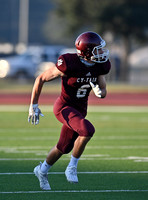 DLS_3325