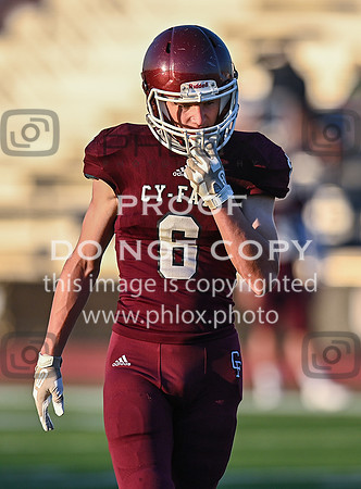 DLS_3520
