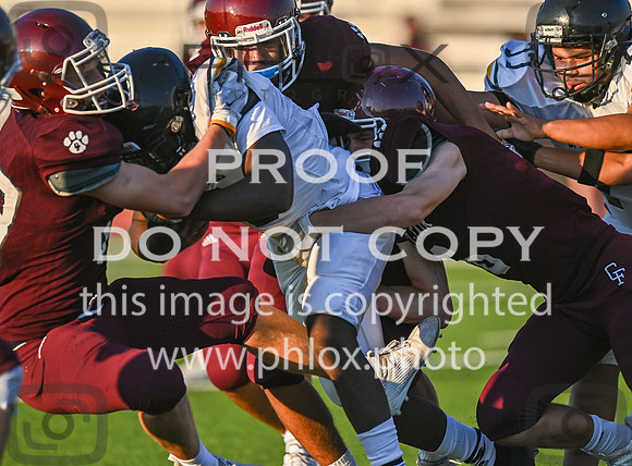 DLS_3353