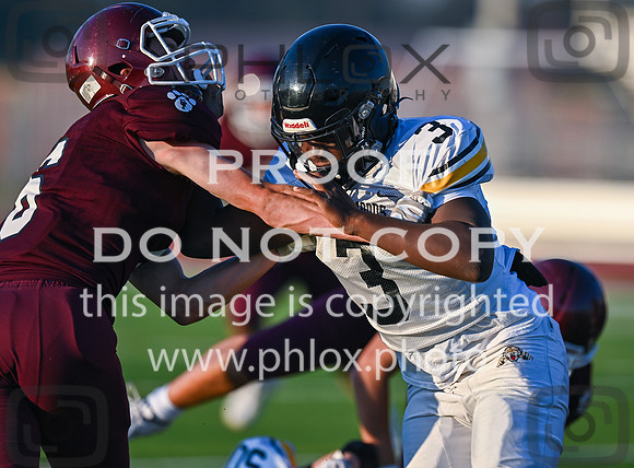 DLS_3368