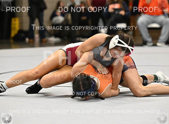 DLS_1845-2