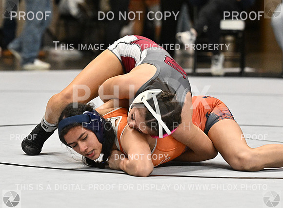 DLS_1839-2