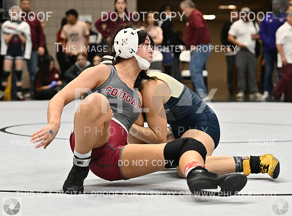 DLS_3328