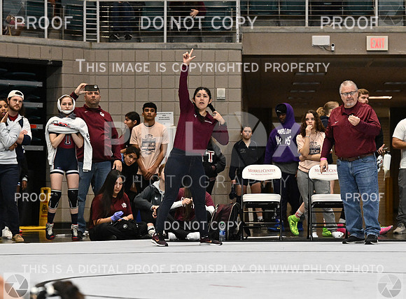 DLS_3345