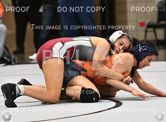 DLS_1828-2