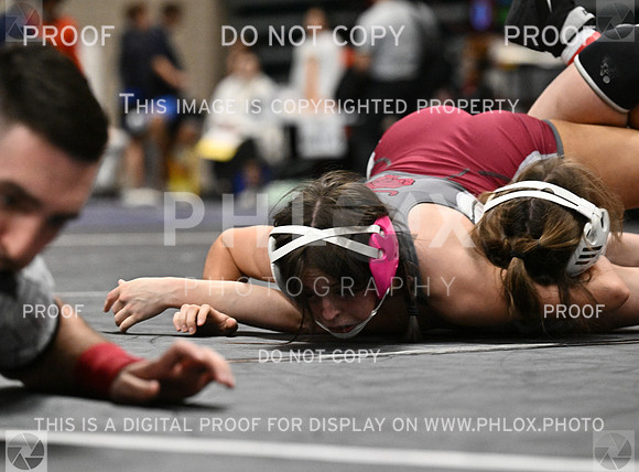 DLS_5379
