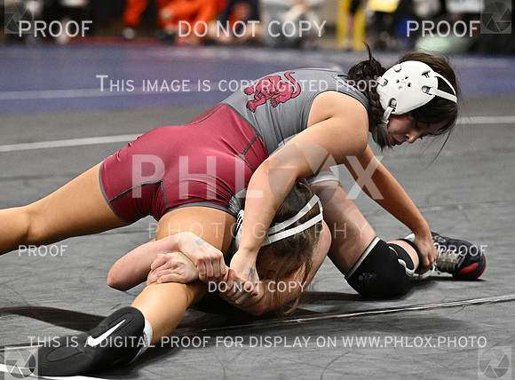 DLS_5337