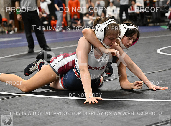 DLS_5311