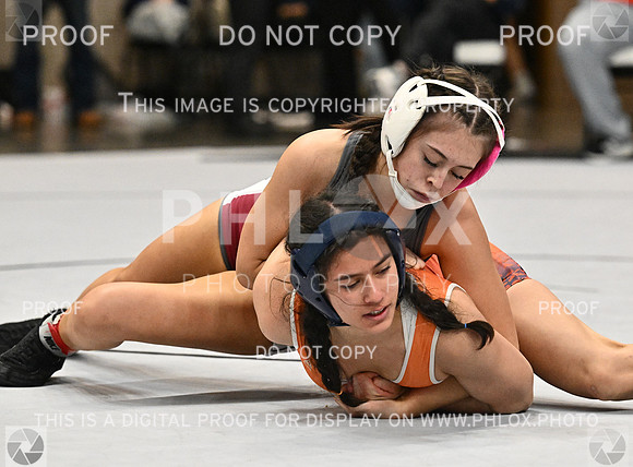 DLS_1846-2