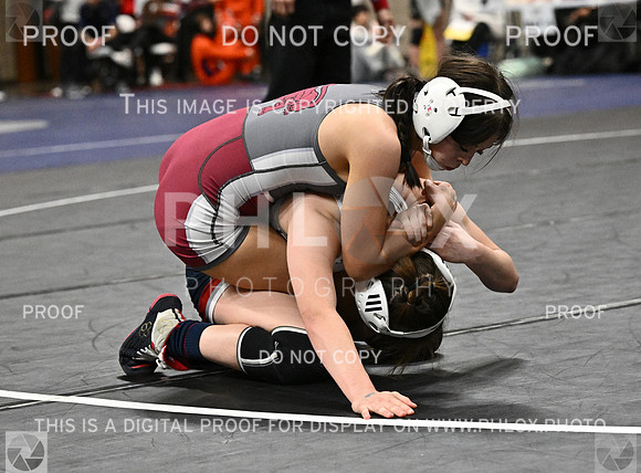 DLS_5320