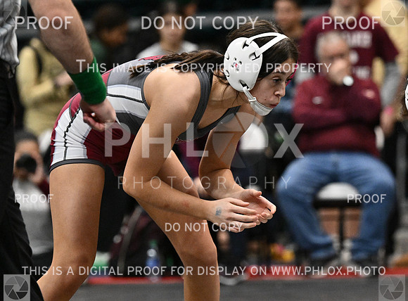 DLS_5292