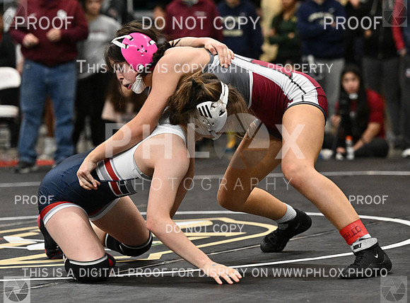 DLS_5373
