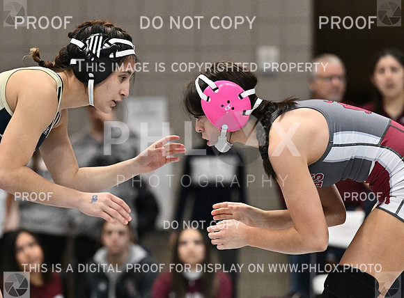 DLS_3238