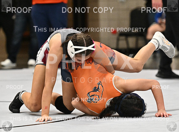 DLS_1832-2