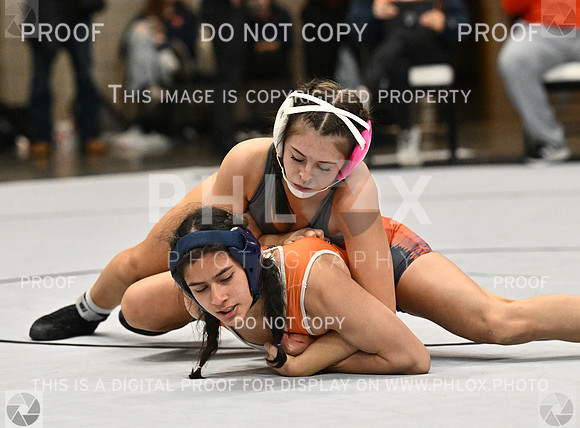 DLS_1843-2