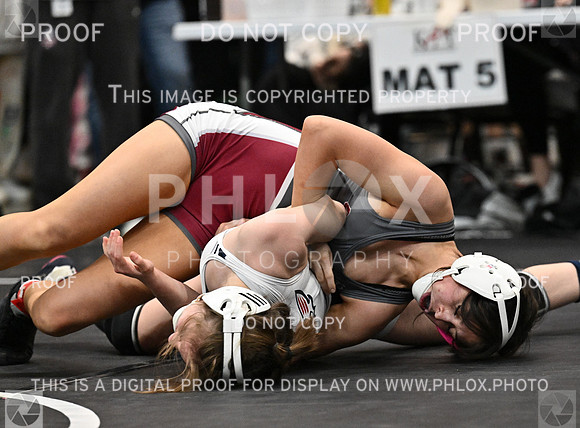 DLS_5367