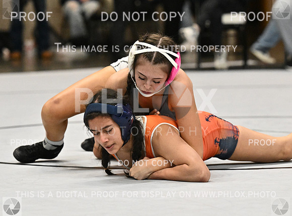 DLS_1841-2