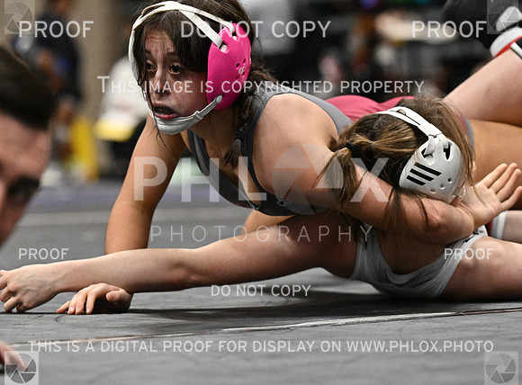 DLS_5380