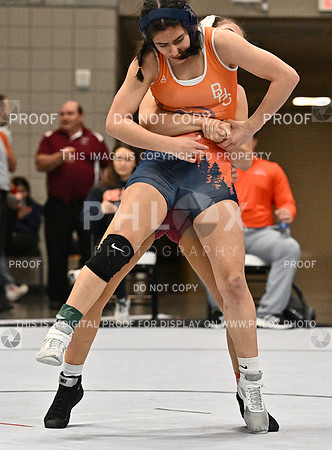DLS_1823-2