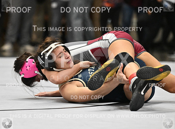 DLS_3407