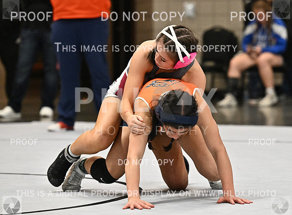 DLS_1835-2