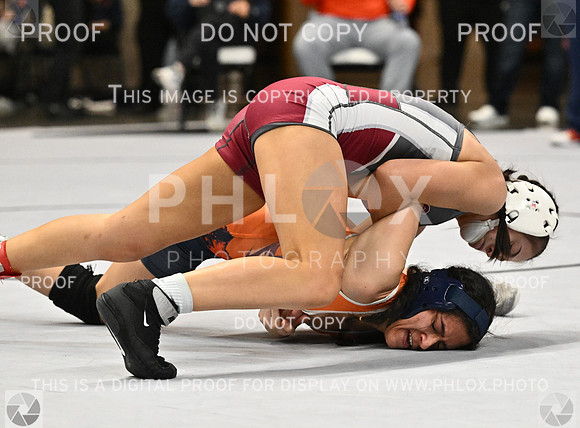DLS_1848-2