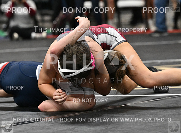DLS_5375