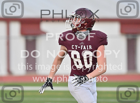 DLS_7862
