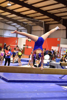 Woodlands Gymnastics Academy