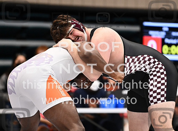 DLS_2289