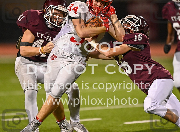DLS_0906