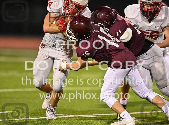 DLS_0896
