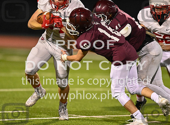 DLS_0897